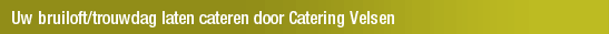 Uw bruiloft/trouwdag laten cateren door Catering Velsen